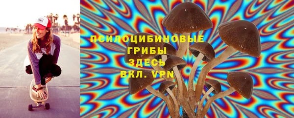 эйфоретик Богородск